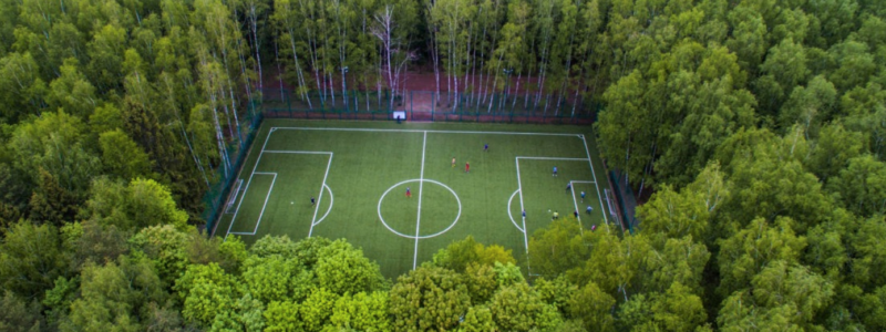 Déforestation : 1 terrain de foot toutes les 2 secondes !